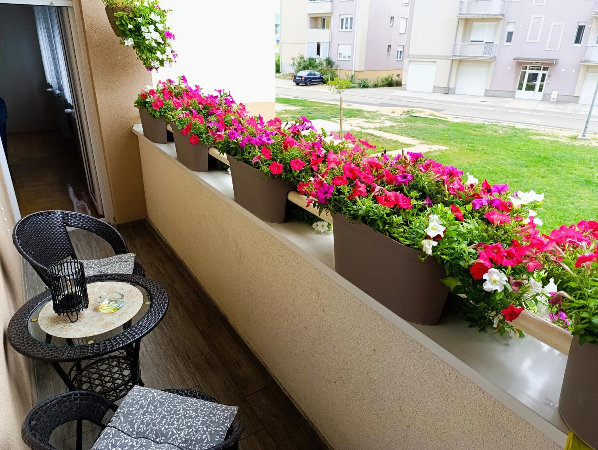 פירוט Apartman Lara מראה חיצוני תמונה